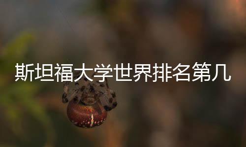斯坦福大学世界排名第几？