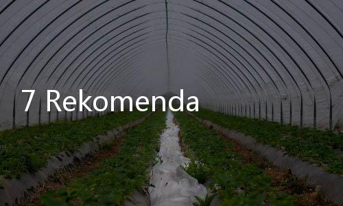 7 Rekomendasi Menu Diet Ringan untuk Penderita Gastritis