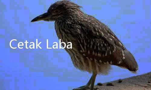 Cetak Laba Rp5,1 Triliun, PTBA Gelontorkan Rp3,83 Triliun untuk Dividen Pemegang Saham